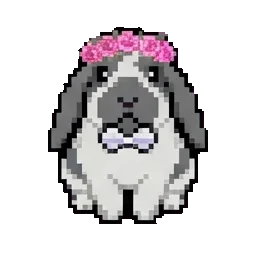 Iris sprite