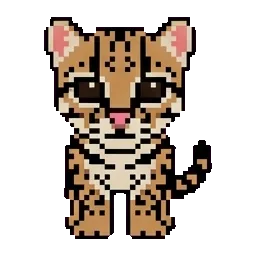 Velvet-Paws the Margay-celot sprite