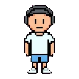 shin sprite