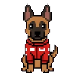 Schumacher Belgický Ovčák sprite